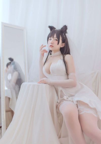 石纪元 动漫