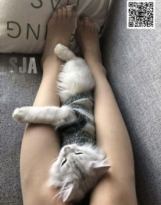 119149神秘电视剧