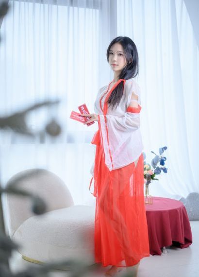 宫锁珠帘2