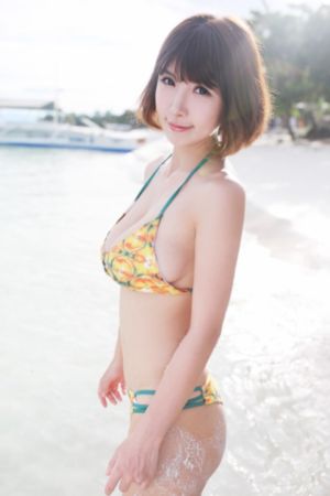 番茄视频app