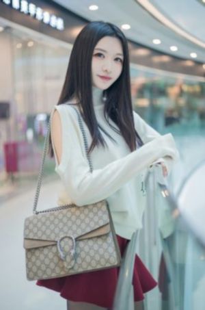 一路向西完整电视剧免费播放