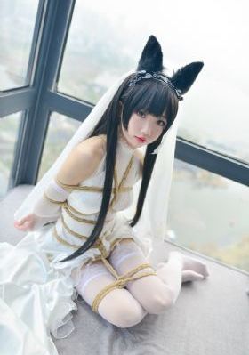 七天电影免费观看