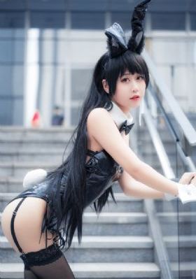鬣狗之路