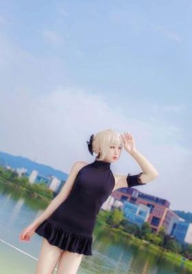 金装的维尔梅2